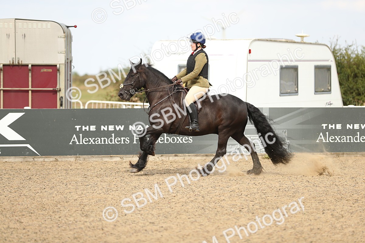 SBM_05596 - Class 48a Style & Performance 70cm (15-19)