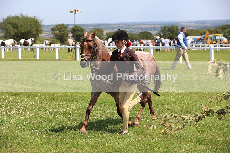 JPP_2886 - Class 21: Working Hunter 60cm