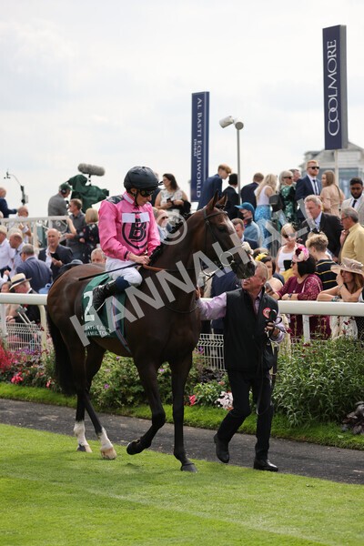 yr20082021r2-33 - Race 2 2.25pm Weatherbys Hamilton Lonsdale Cup (British Champion Series race)