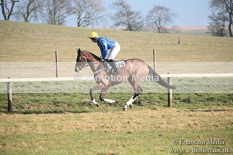 PtP 230219 129 - Vine & Craven Point-To-Point - Barbury 23/02/19