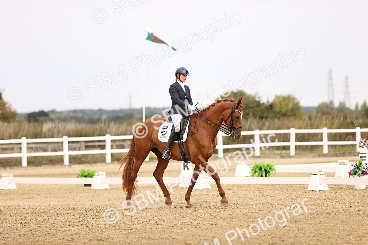 SBM_011647 - Class 1 - Medium 5