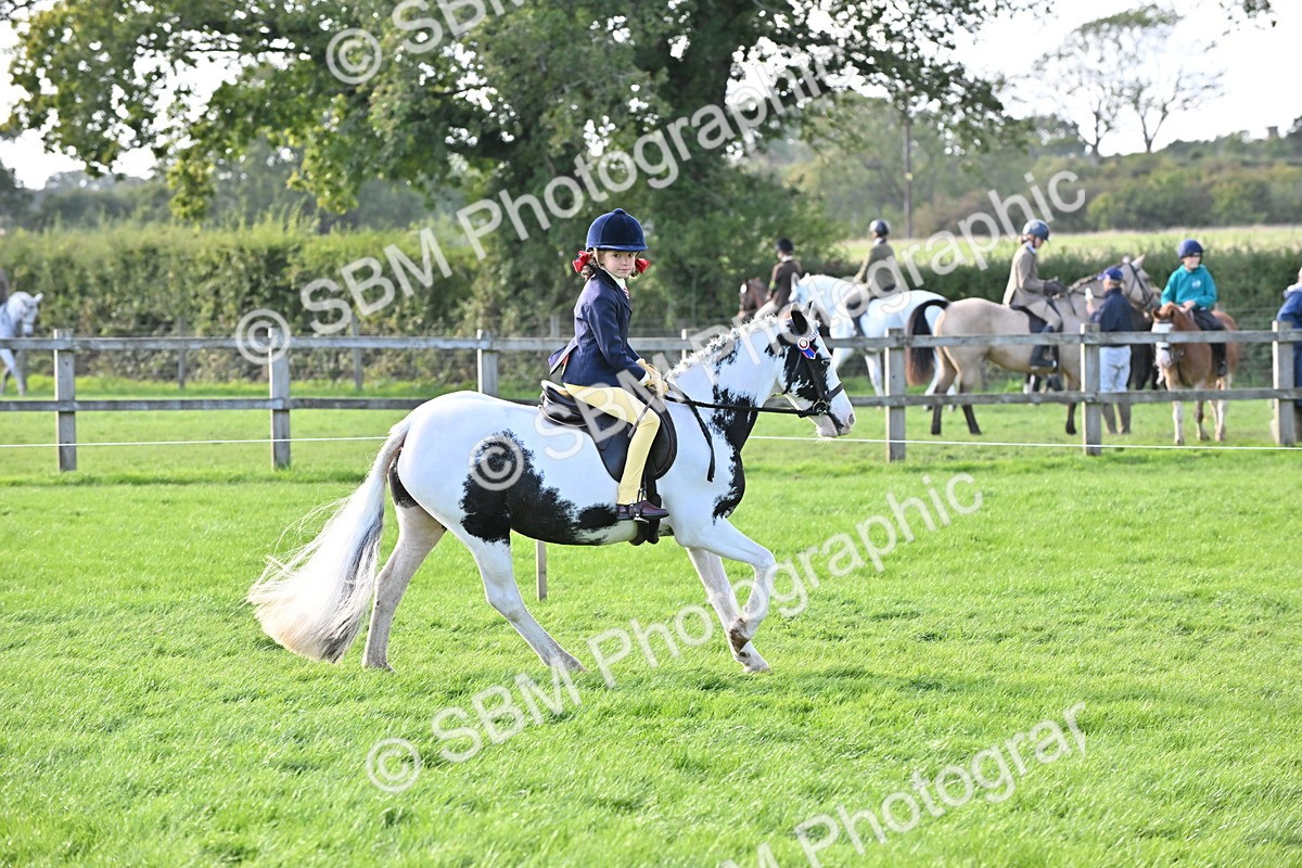 SBM_51230 - S22 - First Ridden show and show Hunter Pony