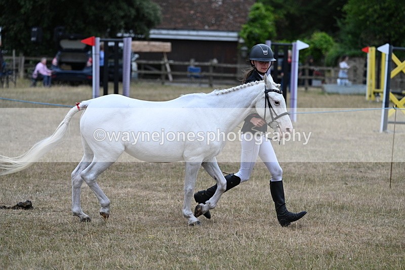WJ7_8305 - Class 4 Prettiest Mare up to 14.2hh