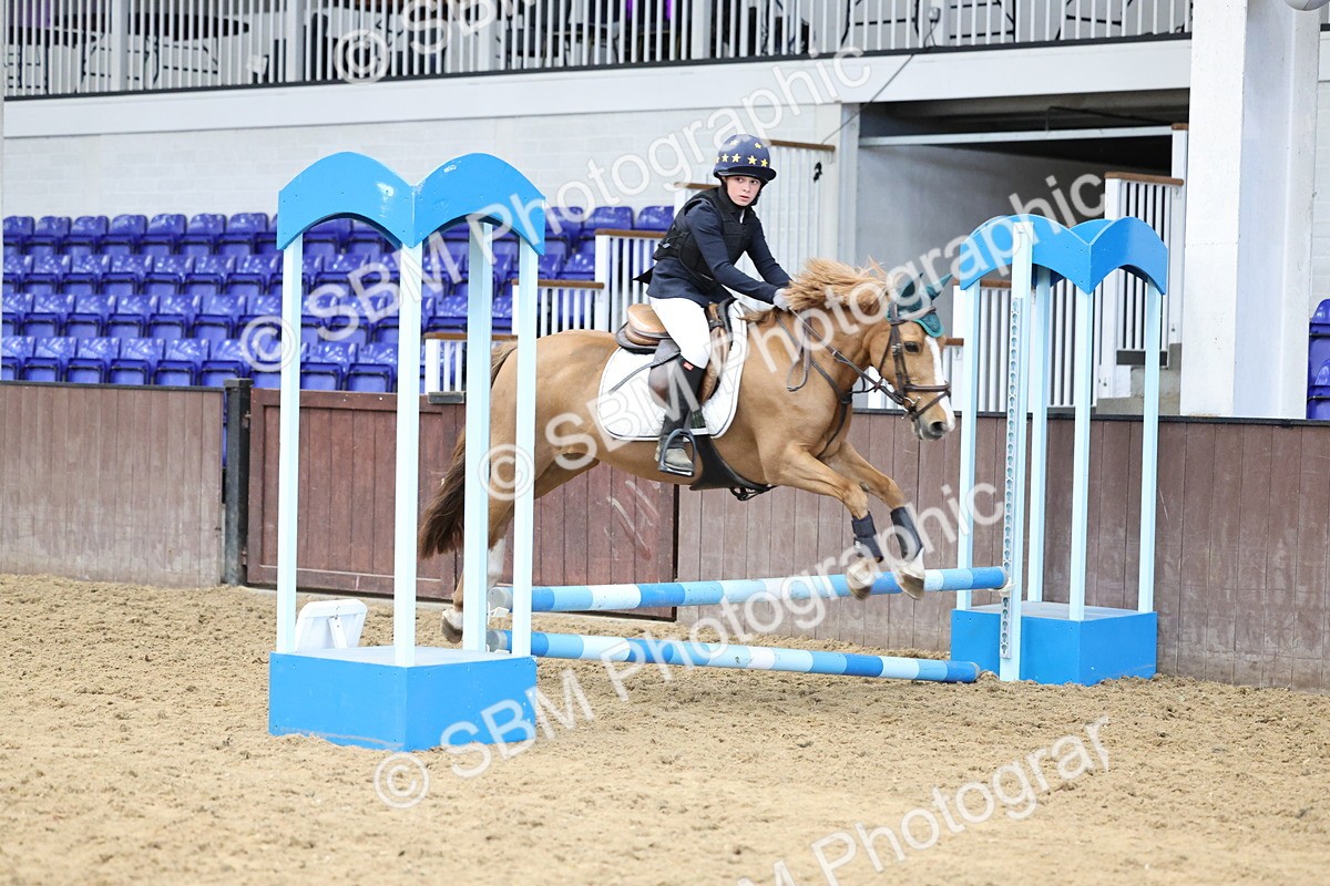 SBM_007397 - Class 2 - 50cm showjumping