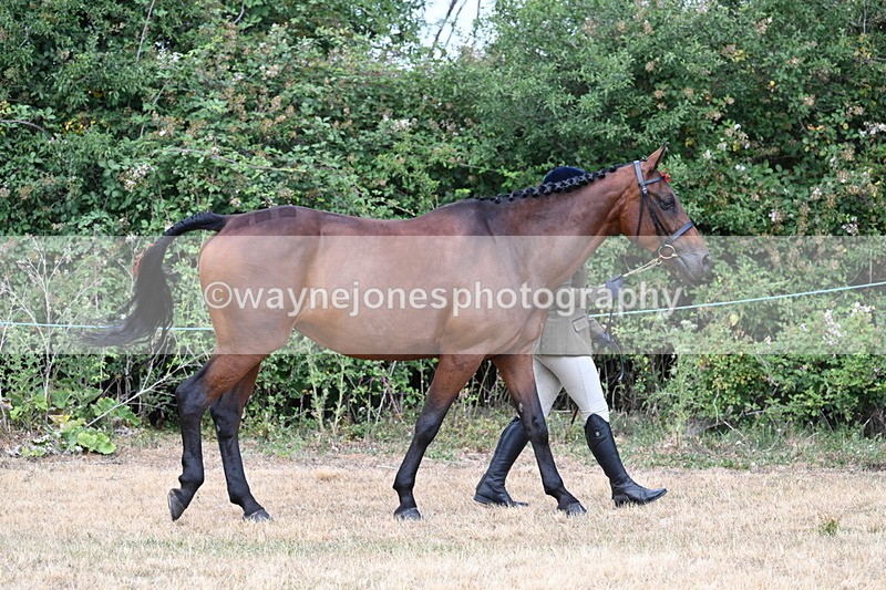 WJ7_1826 - Class 4a Prettiest Mare 14.2hh and over hand