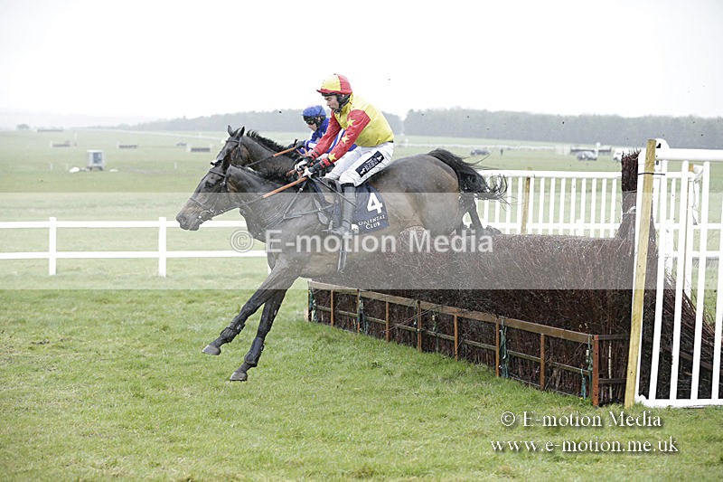 PtP 150320 0157 - New Forest Point-to-Point Larkhill 15/03/20