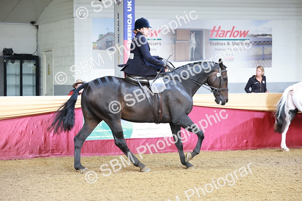 SBM_11817 - Class 102 - Equitation (Best Rider) Adult