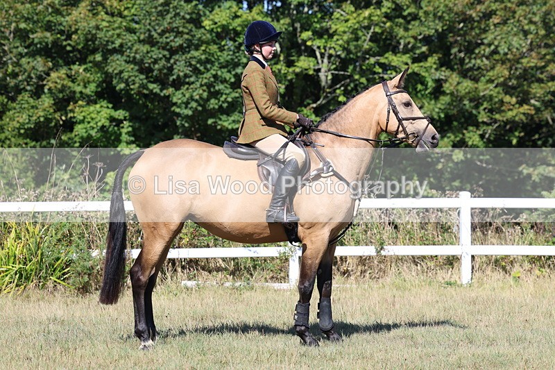 3E7A5805 - Class 5: Working Hunter 90cm