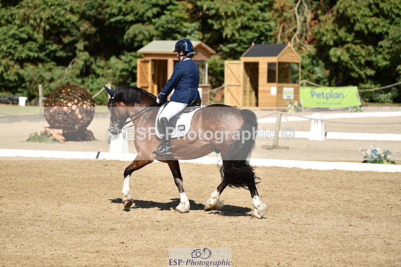 140110A-050228-12361 - 158-Alison.Crimp-Crwys.Beau