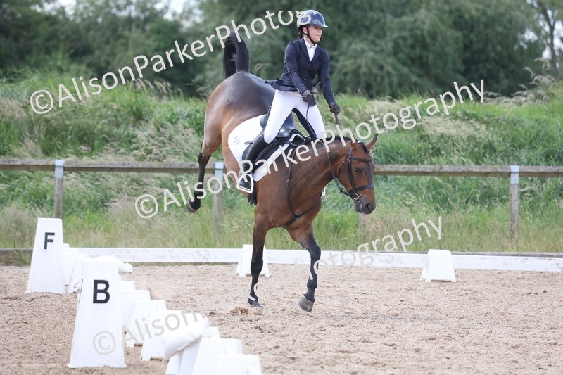 20250614-0273 - Cherwell 14th June 2025 - Unaffiliated Dressage