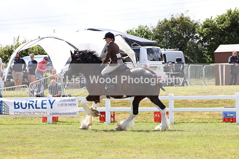 3E7A2891 - Class 13: Heavy Horse Ridden