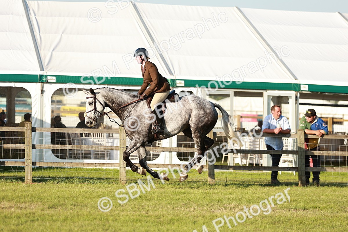SBM_20488 - Class 117-119 - Sport Horse Working Hunter