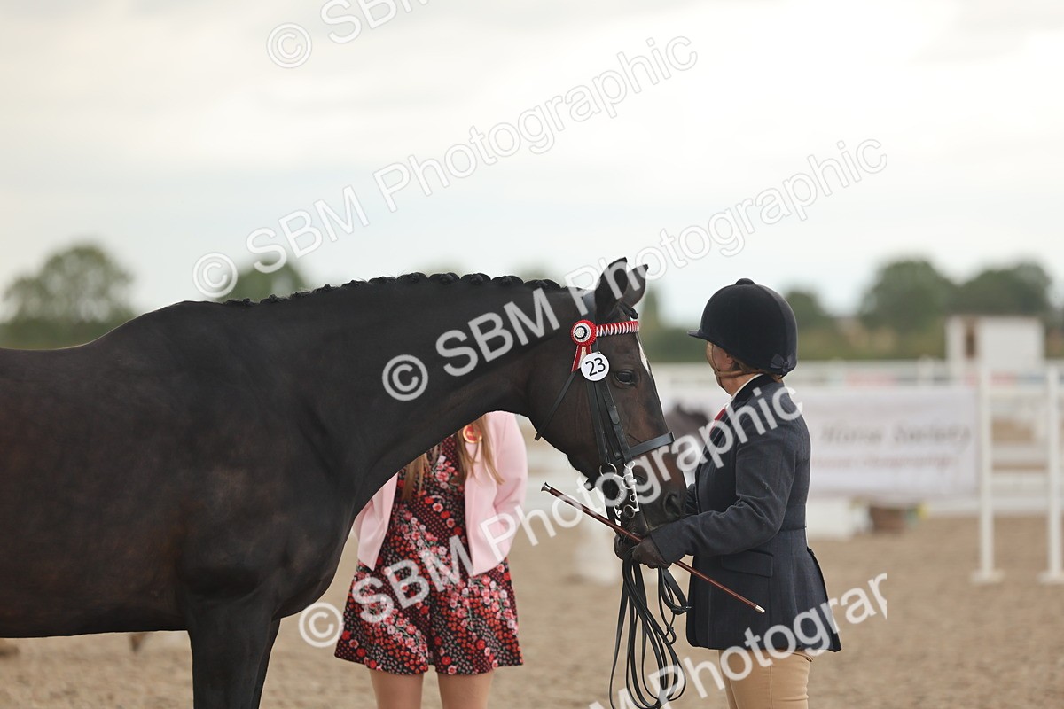 SBM_07669 - Class 26 - IH Foreign Breeds - Part Bred
