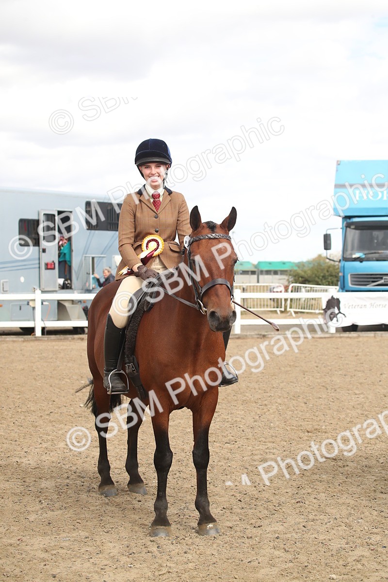 SBM_16564 - Class 506b - Working Veteran - 50cm (20+)