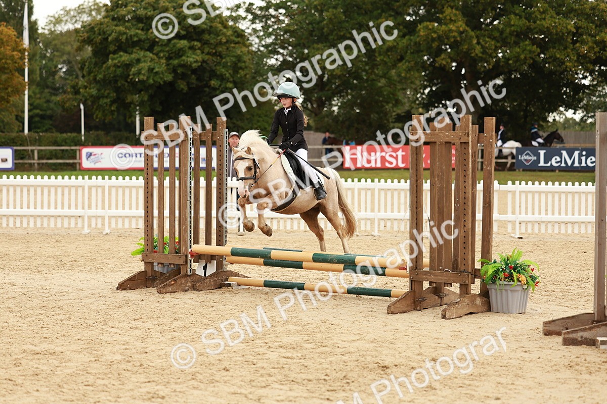 SBM_57909 - J11 - Junior Pony 50cm Championship