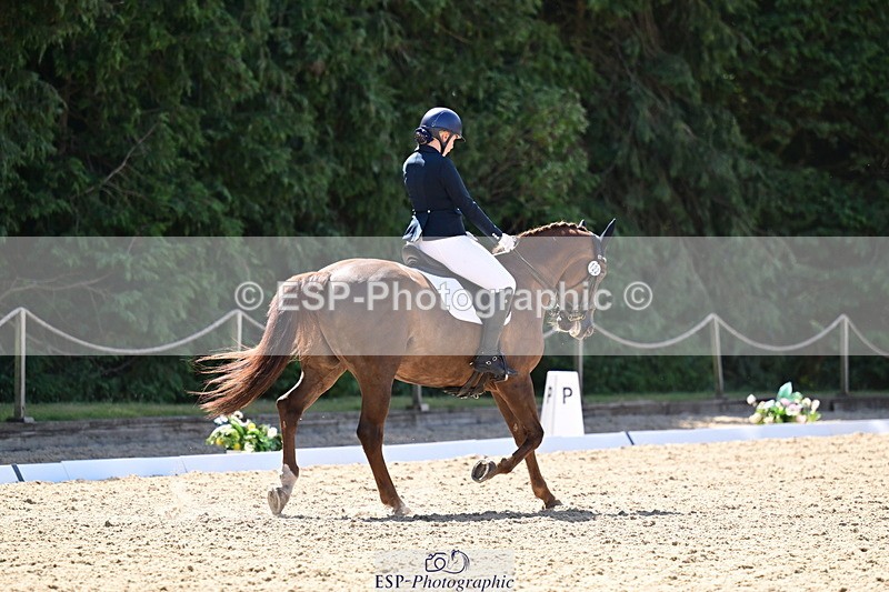 260731A-112428-00338 - Elementary Bronze 10.30 - Break