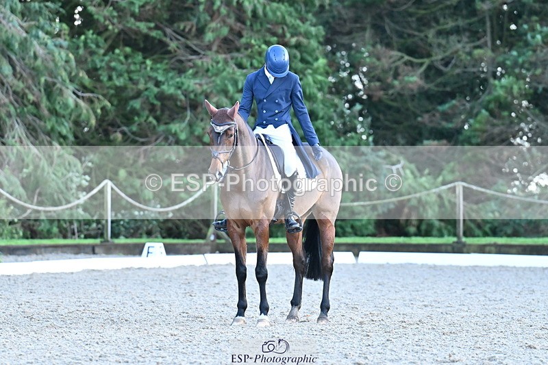 251023A-164002-05921 - A-017-Harrison.Chart