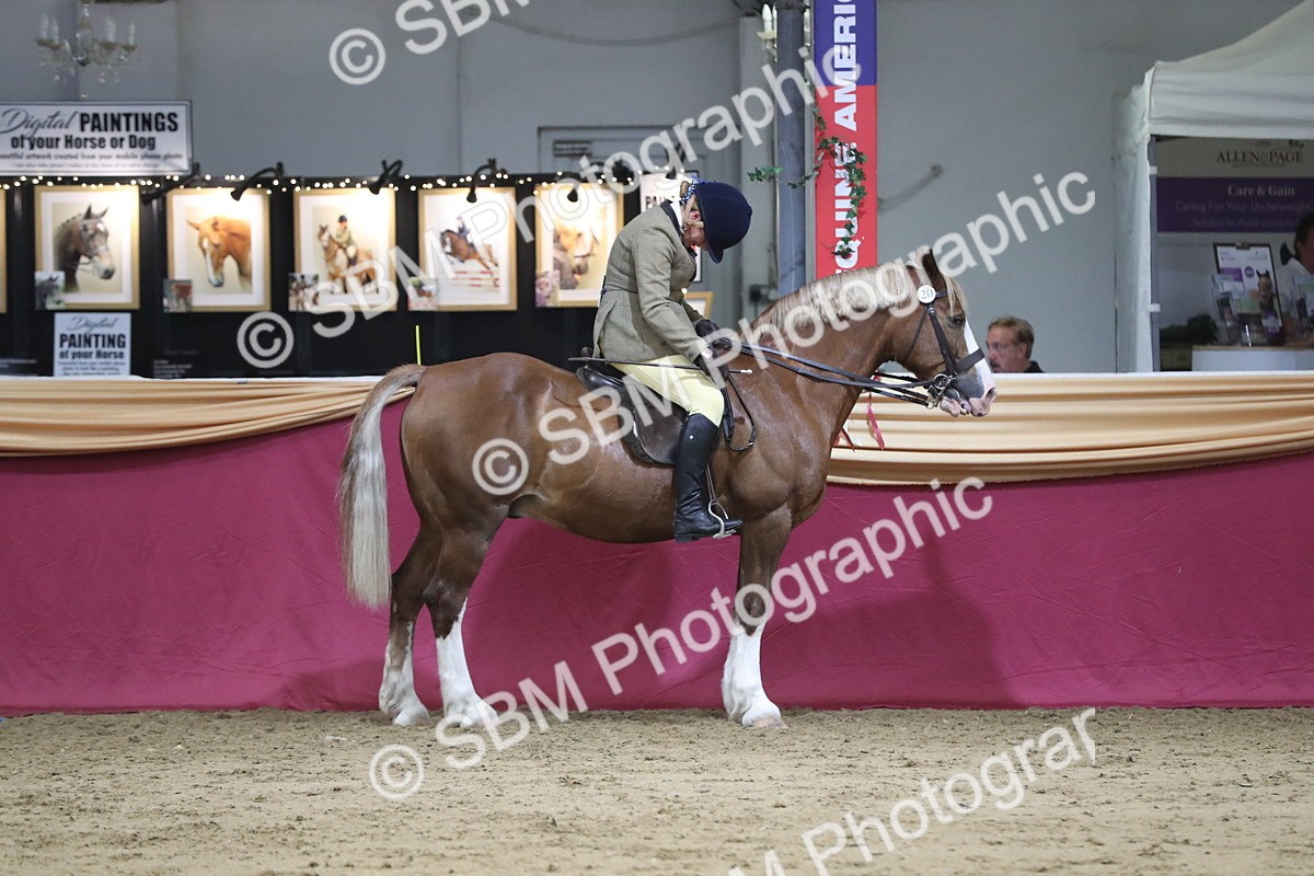 SBM_08419 - Class 11R Regional Ridden Veteran