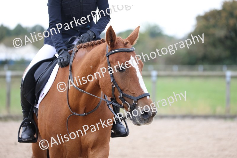 20250907-0249 - Class 3 - 80cm