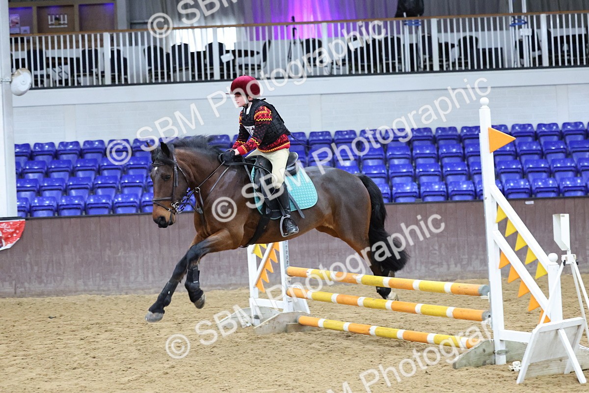 SBM_001038 - Class 3 - Christmas Tree Stakes - 60cm