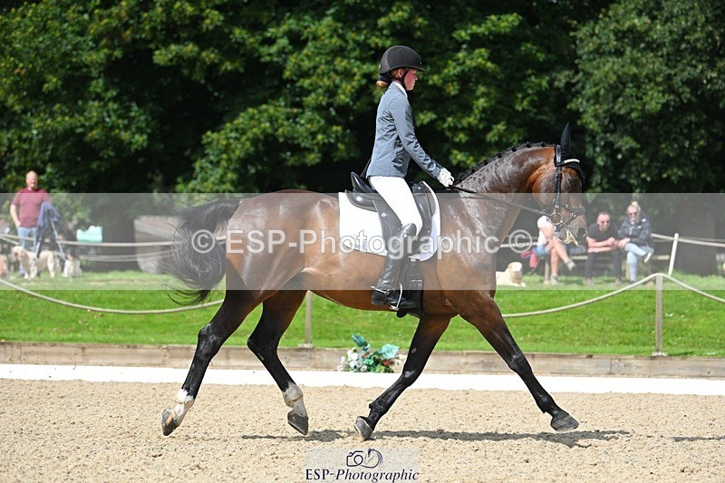 230813-111849-06558 - Cls 12 Elem Silver 10.35 to End