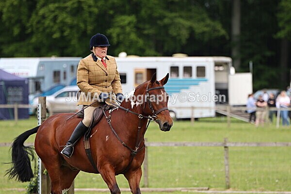 IMG_2798 - Working Hunter