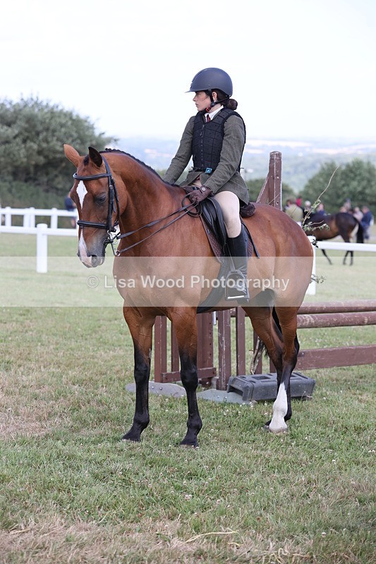 JPP_2352 - Class 19: Working Hunter 60cm