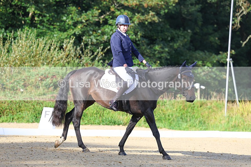 3E7A1814 - Class 1: Intro 4 2024 section A