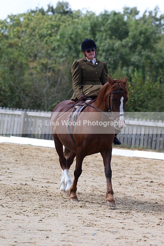 3E7A3605 - Class 7:  Preliminary Music