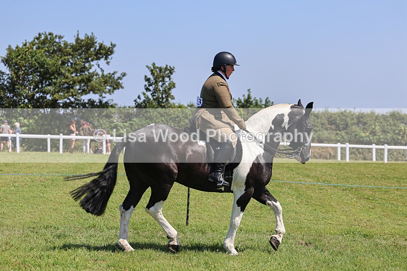 IMG_2323 - Class 38: Veteran Ridden
