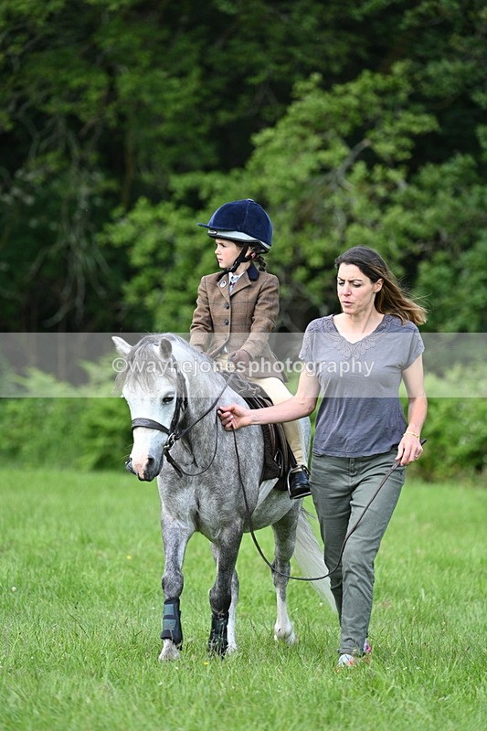 WJ7_0982 - Class 11 Condition & Turnout