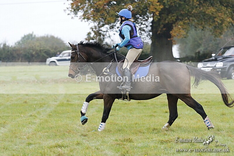 WWHT 181020 WWHT 181020 117 - WWEC Novice Restricted (0.80m) 18/10/20