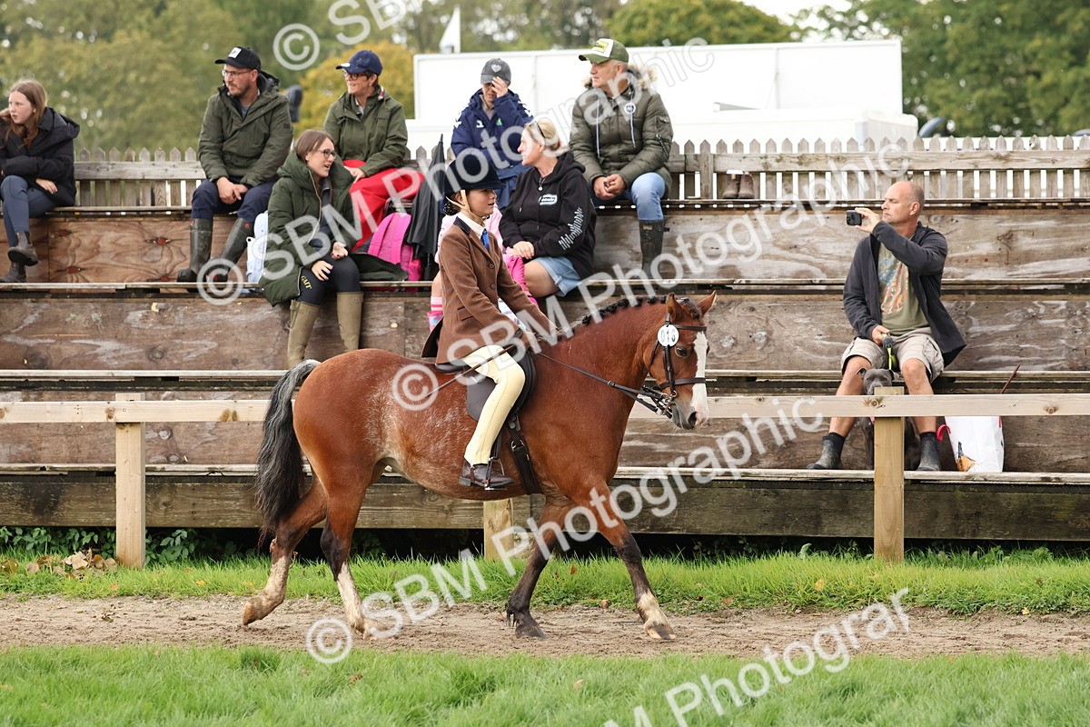 SBM_44935 - S27 - Young Veteran Ridden