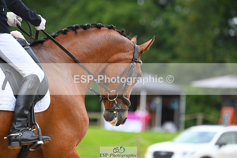 230813-090456-05754 - Cls 12 Elem Silver Start to 10.10 break