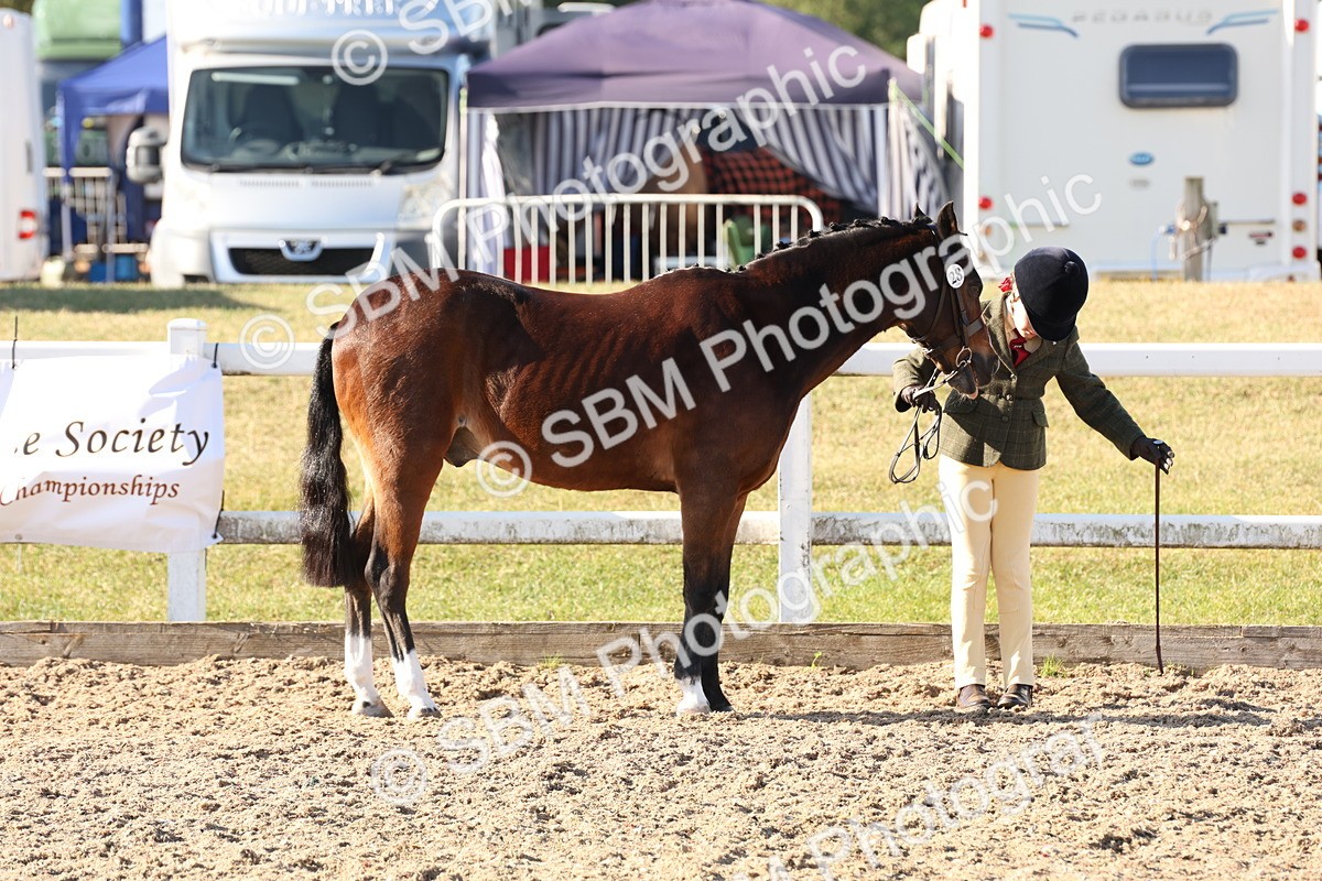 SBM_11632 - Class 203 - Young Handler 11 to 16 years