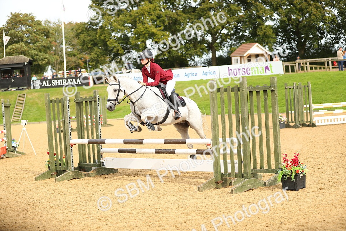 SBM_70314 - J18 - Junior Pony 85cm Championship
