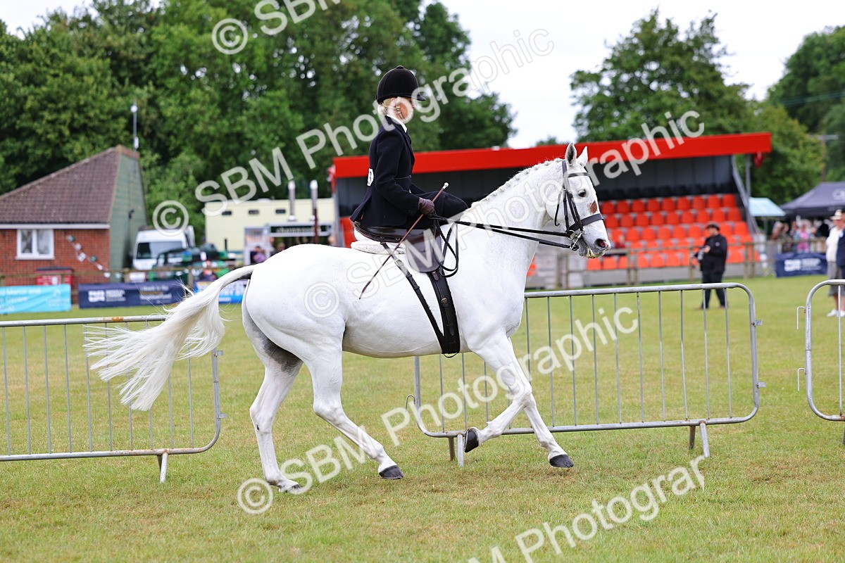 SBM_02727 - Class 9-11 Side Saddle including LIHS Rising Star Ladies Show Horse