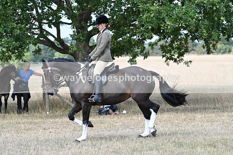 WJ7_6089 - Class 13 Ridden Veterans