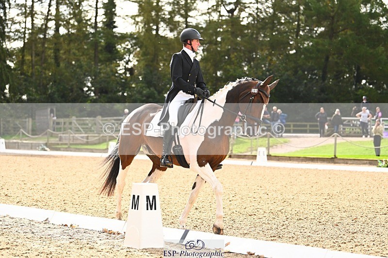 231020-135758-09766 - 301-WESTCEFFYL.KINGSWAY.LAD-Ben.Lee.Liles-DR