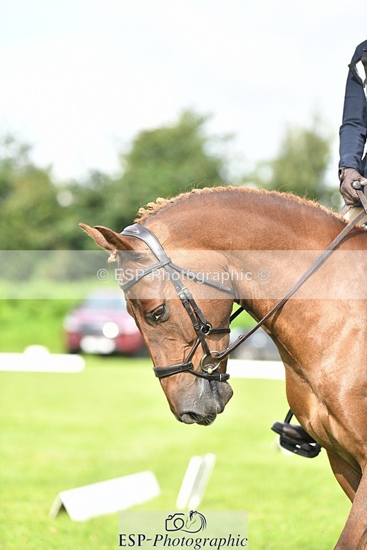 230826-093929-15183 - Sections C & D 9 to 10am