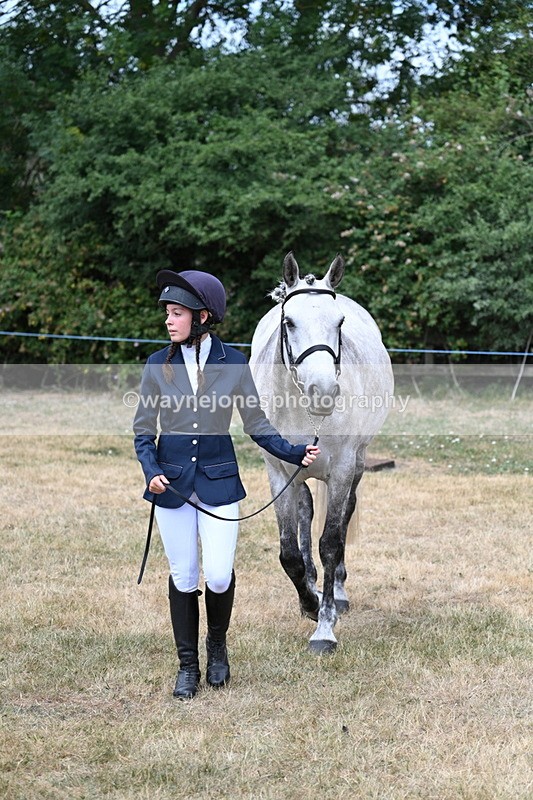 WJ7_1858 - Class 4a Prettiest Mare 14.2hh and over hand