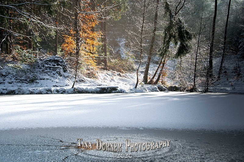 Orange leaves reflected in hole on icy pond. Winter Landscape portfolio by Tina Dorner Photography,  Forest of Dean and Wye Valley, Gloucestershire