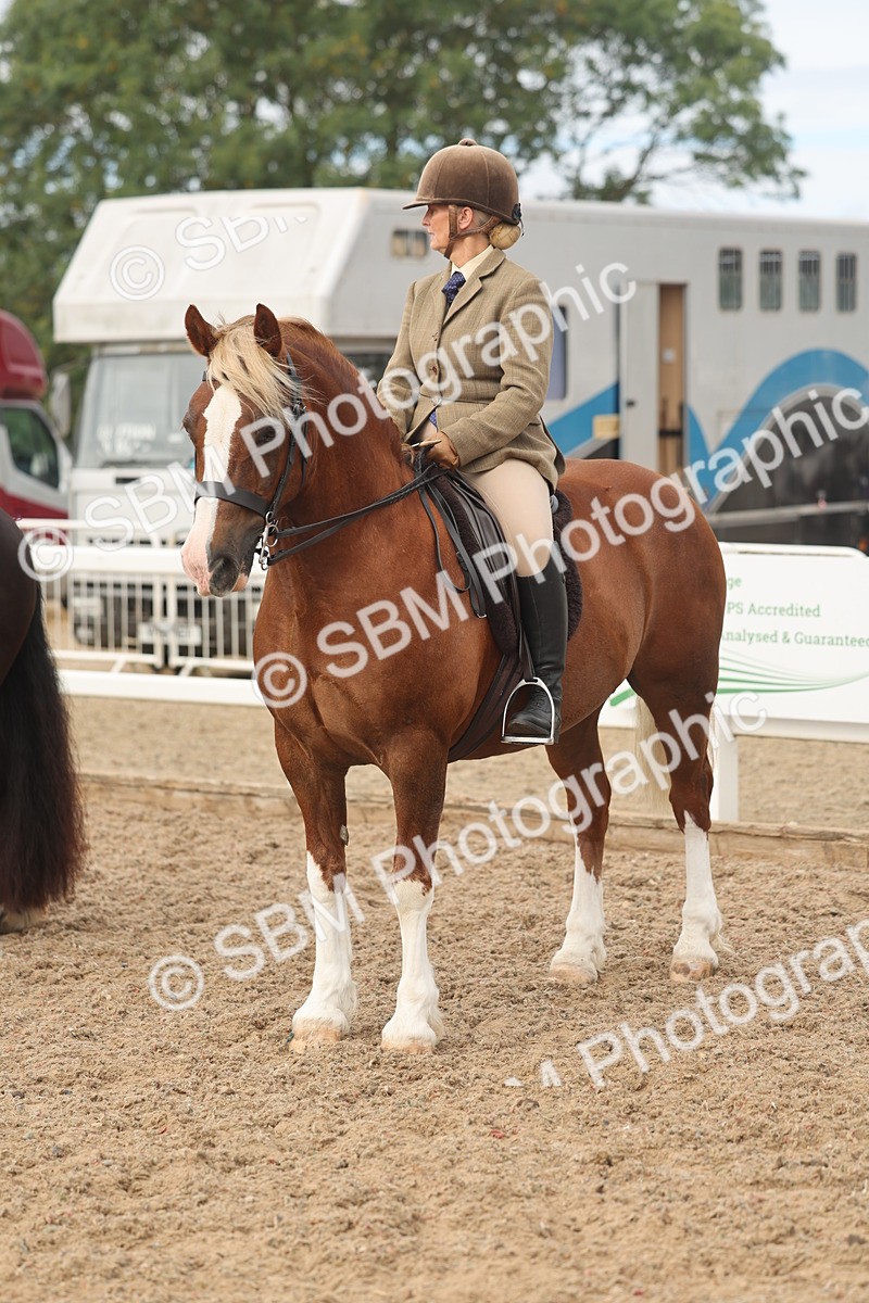 SBM_01951 - Class 14 - Ridden M&M Wildcard