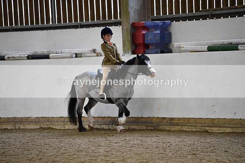 WJ5_6513 - Class 10 Childs Pony