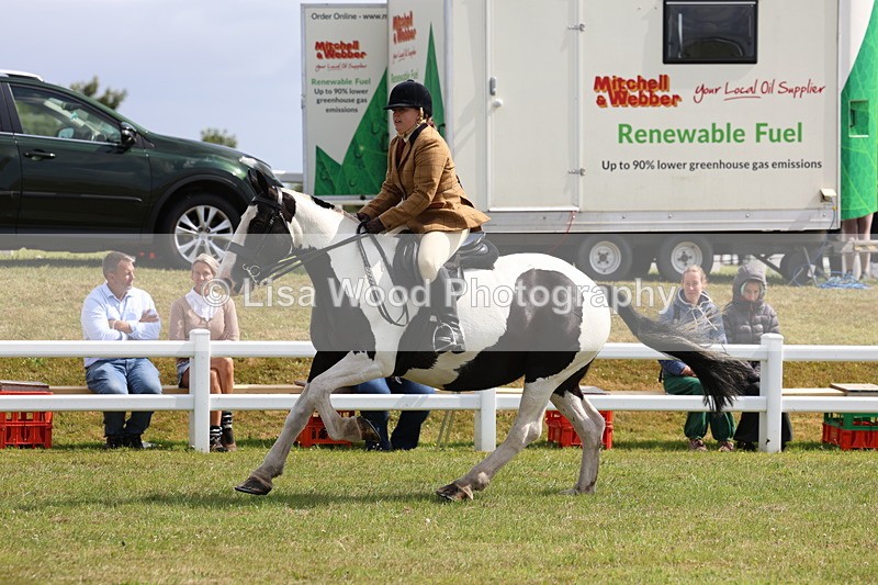 3E7A9809 - Class 5: Rising Star Lightweight/Heavyweight Cobs