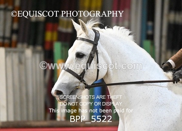 BPP_5522 - CLASS 9 80CM