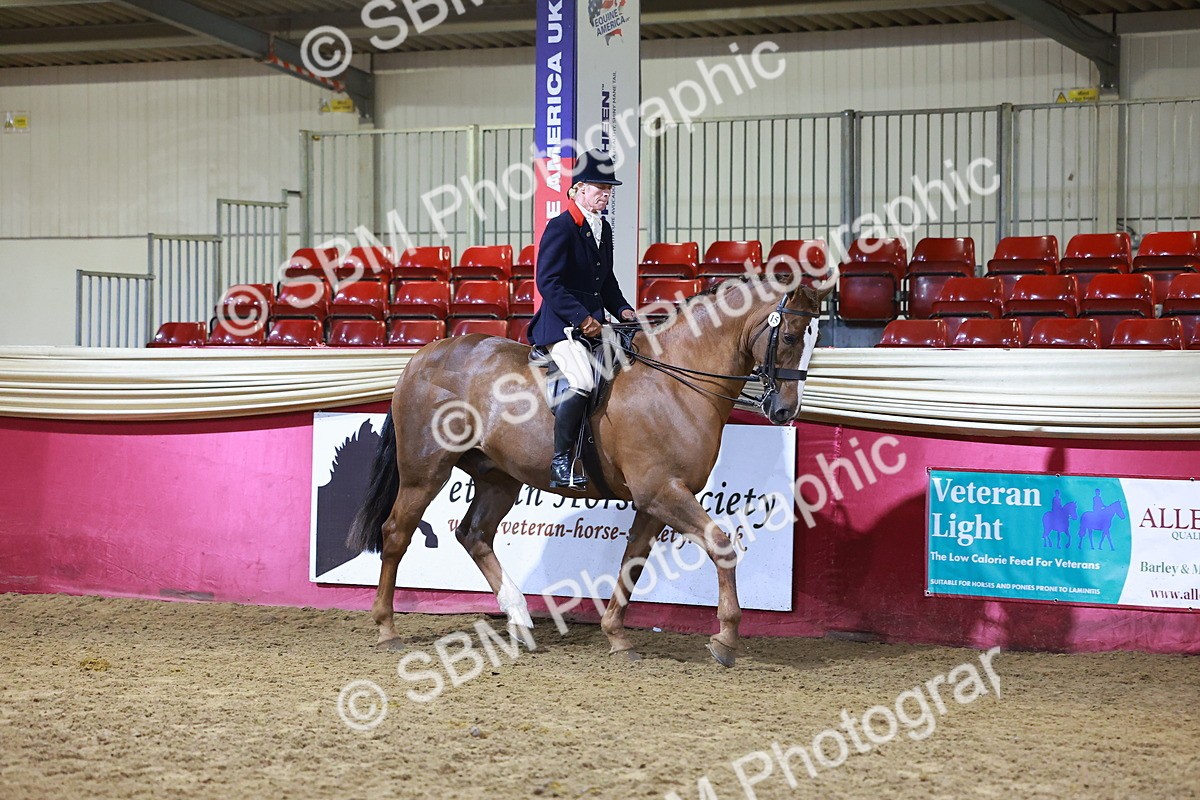 SBM_15373 - Class Q - Ridden Horse Champ