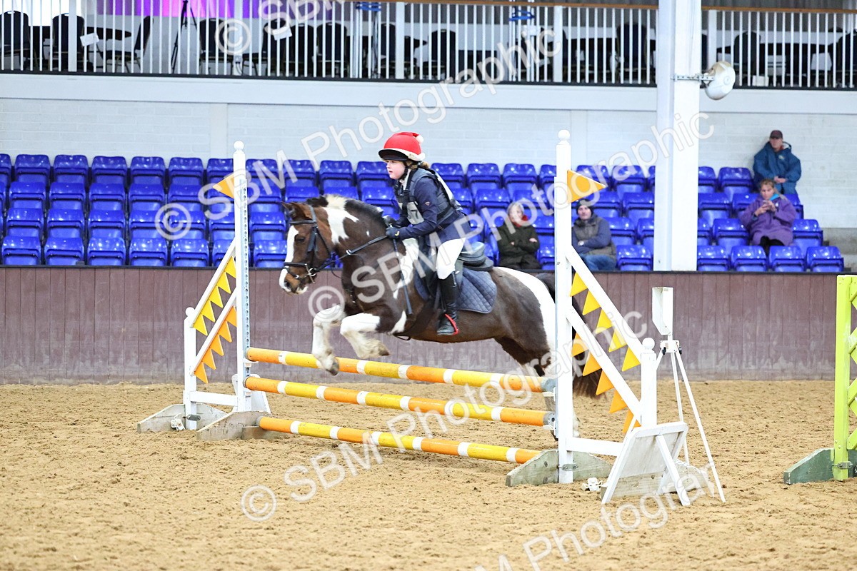 SBM_001232 - Class 3 - Christmas Tree Stakes - 60cm