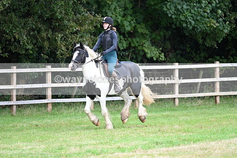 WJ7_7749 - 40cm Time 10:49 to 11:18