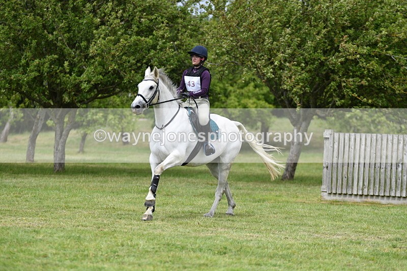 WJ5_3901 - Class 6 80cm